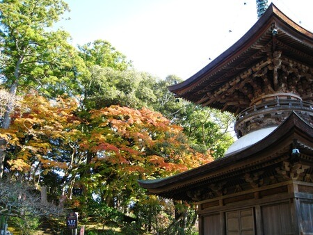 神社及佛寺之旅