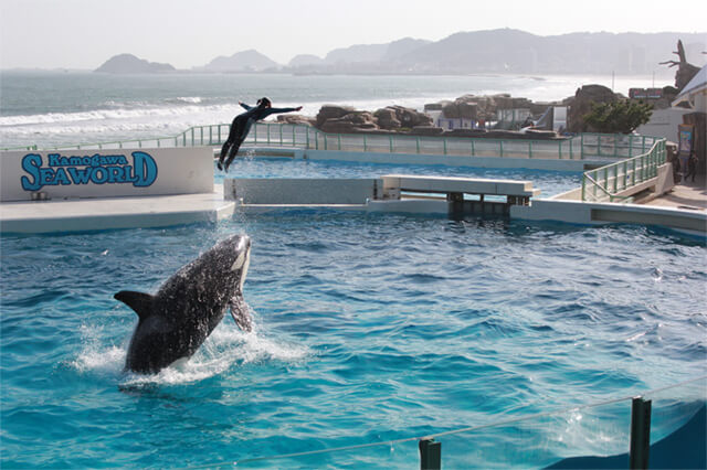 Kamogawa Sea World