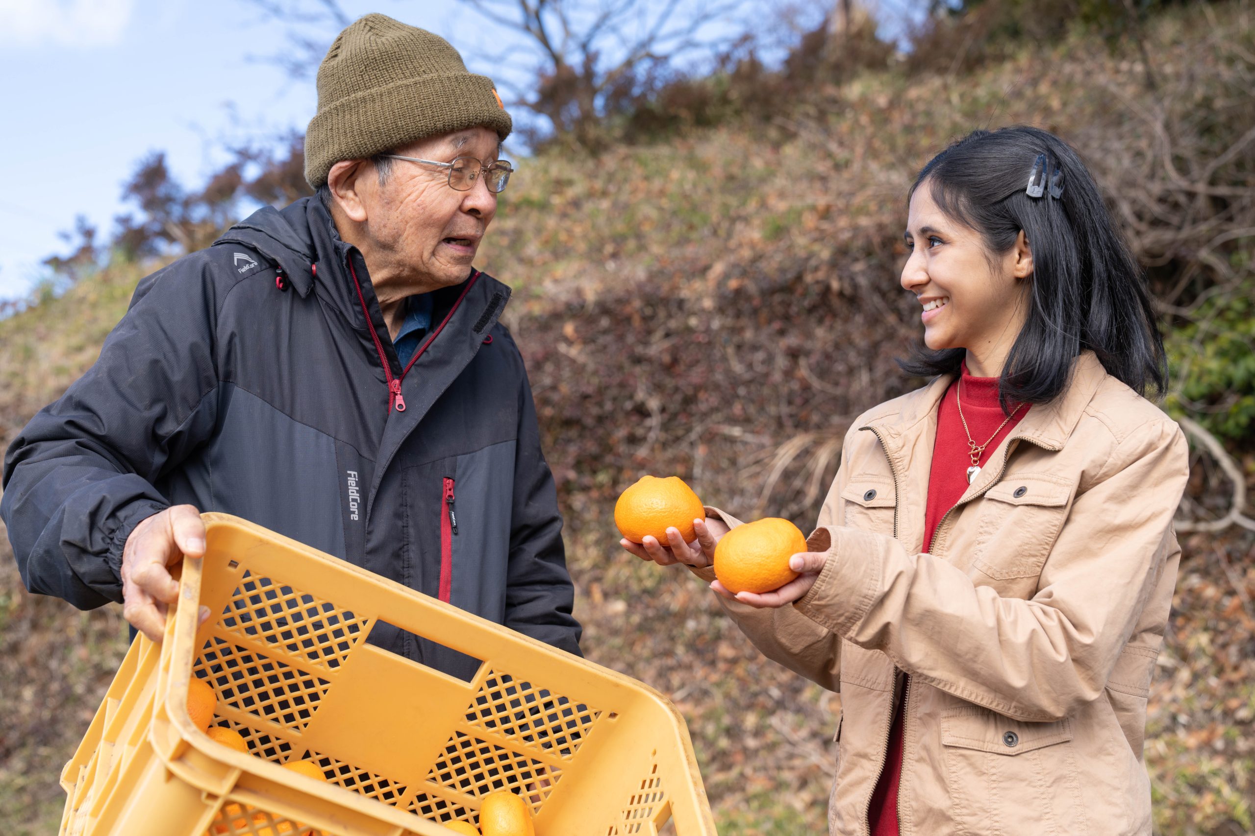Citrus and Surf: Zest up your Life at Minamiboso’s Orange Village image